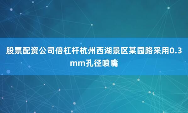 股票配资公司倍杠杆杭州西湖景区某园路采用0.3mm孔径喷嘴