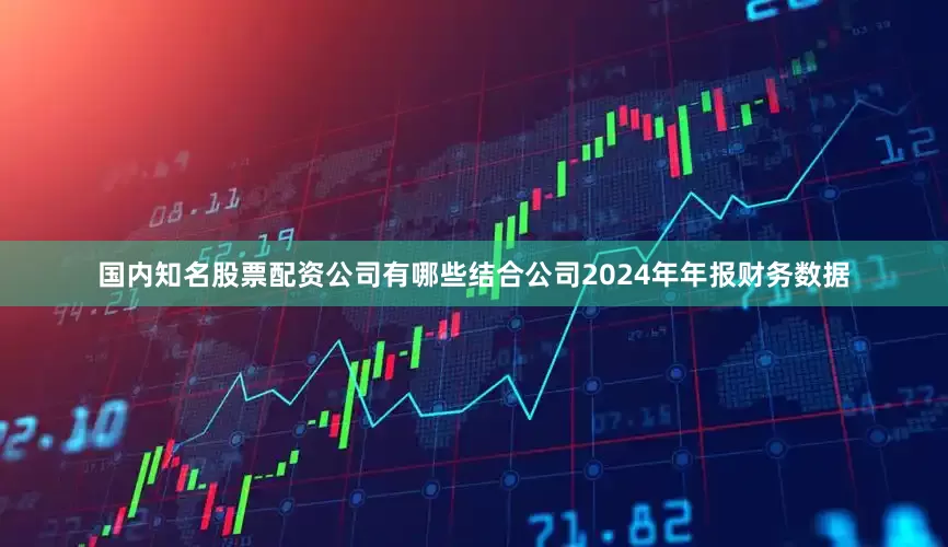 国内知名股票配资公司有哪些结合公司2024年年报财务数据