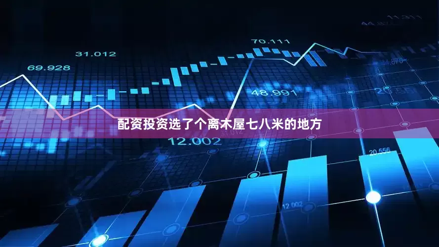 配资投资选了个离木屋七八米的地方