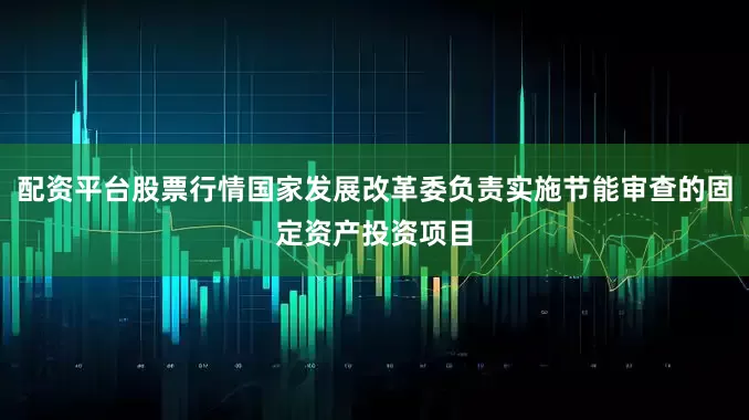 配资平台股票行情国家发展改革委负责实施节能审查的固定资产投资项目