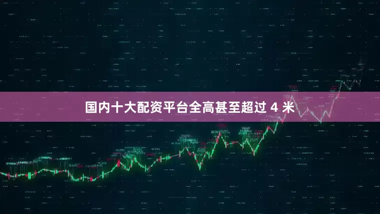 国内十大配资平台全高甚至超过 4 米